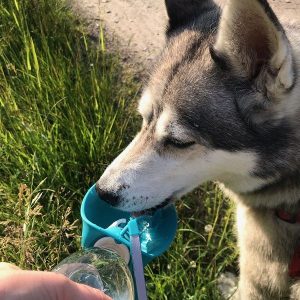 Putna boca za pse 500 ml – Praktična boca sa zdjelicom